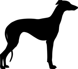 Obraz premium Greyhound Dog Silhouette Standing Profile Isolated Vector Illustration for Pet Care Branding Animal Logos and Design