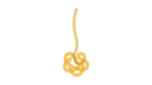 Coiled Yellow Human Sweat Gland With Duct Icon