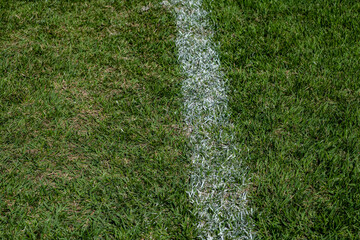 Detail of grass on a soccer field © Ricardo
