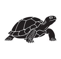 Fototapeta premium Black and white graphic icon of a turtle walking with tortoise wildlife illustration creature terrapin monochrome amphibian crawling reptilian vertebrate