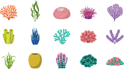 Colorful Underwater Coral Reef and Marine Seaweed Vector Icon Set for Ocean Biology, Aquarium Branding, and Summer Beach Party Graphic Designs © MstRabeya