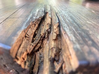 Fototapeta premium Rotten Wood grain with Splintered Details