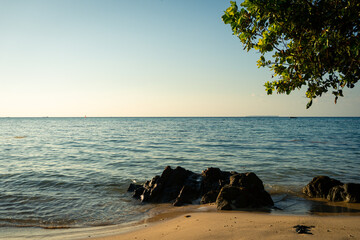 Serene beach scene with calm ocean waves, rocky shore, and tropical tree branch framing the view © efendiahd