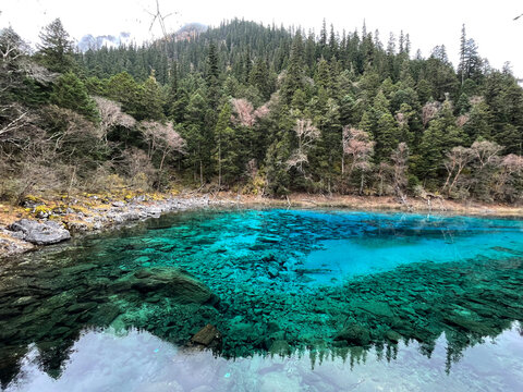 The breathtaking scenery of the crystal-clear turquoise lake with autumn colors at Jiuzhaigou National Park in Sichuan Province, China