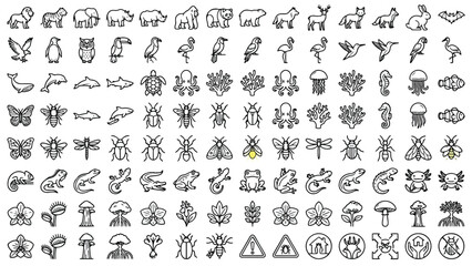 Wildlife insects and aquatic species outline icon set for zoology education, biology research, and nature documentation platforms © Abdul