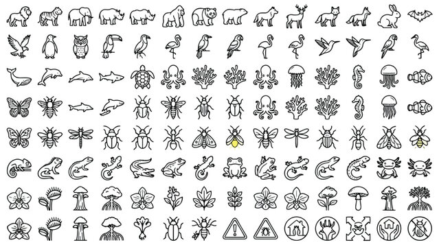 Wildlife insects and aquatic species outline icon set for zoology education, biology research, and nature documentation platforms