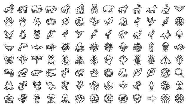 Exotic animals and wildlife outline icon set for zoology education, nature conservation, and biodiversity awareness platforms