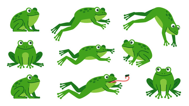 Green spotted frog drawing vector set featuring cute amphibian catching fly with long tongue and various leaping poses on white background.