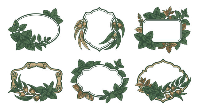 Eco friendly circular badge set with leaves and birds vector illustration.