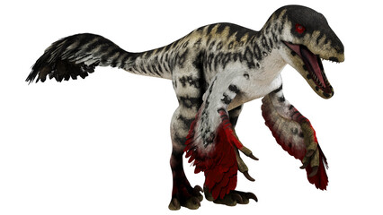Feathered dinosaur in a dynamic pose. © Ilie