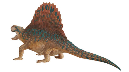 Dimetrodon dinosaur model with vivid sails. © Ilie
