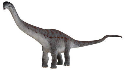Giant Brachiosaurus dinosaur on white background © Ilie