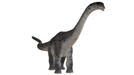 Majestic dinosaur with long neck and tail. © Ilie