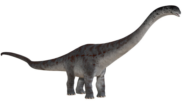 Realistic Brachiosaurus dinosaur illustration.