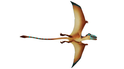 Colorful 3D pterosaur soaring in white space. © Ilie