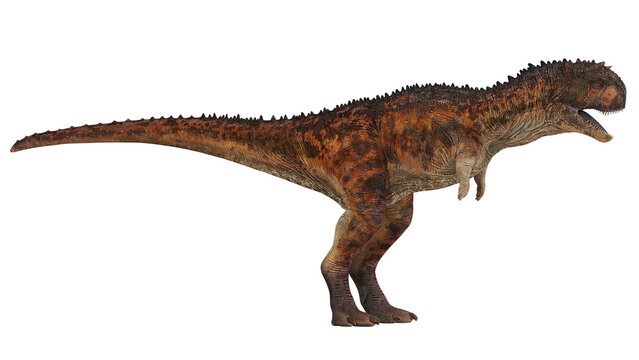 Side view of a Carnotaurus dinosaur model.