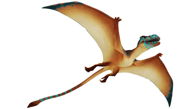 Vividly colored pterosaur in mid-flight
