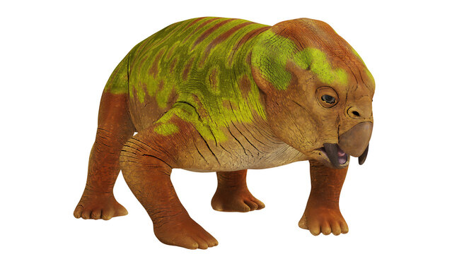 Illustration of ancient Lystrosaurus animal