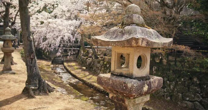 Ancient Stone Lantern Near Spring Cherry Blossoms and narrow stream In Hiroshima, Japan - Slow Motion Shot