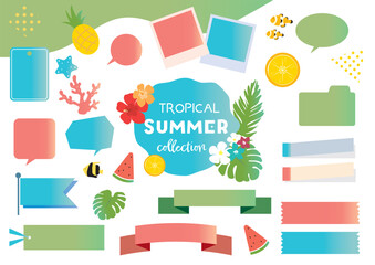 Fototapeta premium Tropical Summer Frame and Label Collection