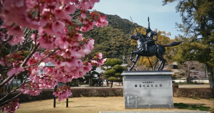 Cherry Blossom Framing Equestrian Samurai Statue Hiroshima Park - Steady Cam Movement