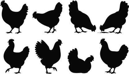 Black silhouettes of chickens in various poses © Milon Store