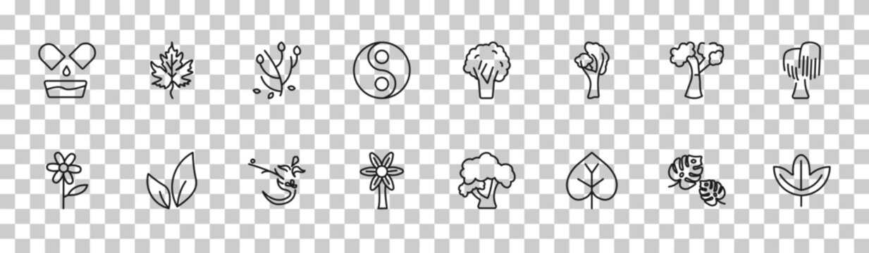 outline nature icons set - natural medical pills, gooseberry leaf, american beech tree, sassafras leaf. editable vector for web and mobile ui