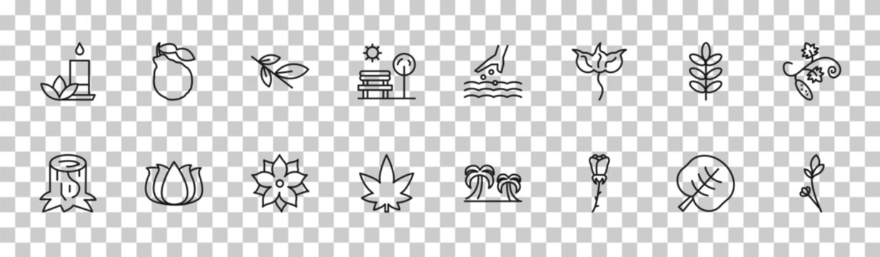 outline nature icons set - flower therapy, bergamot, acacia, lavender. editable vector for web and mobile ui