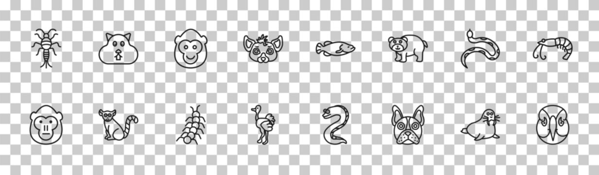 outline animals icons set - silverfish, wombat, copperhead, deadlock. editable vector for web and mobile ui