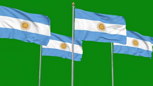 Four argentine flags waving on flagpoles against a green screen background