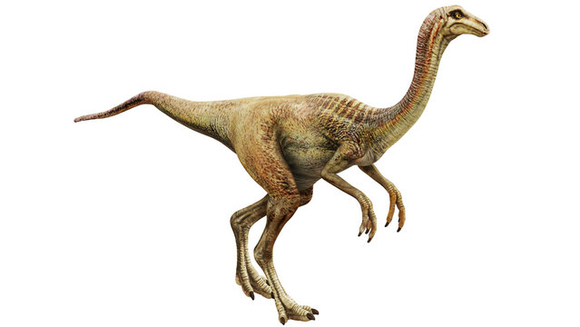Realistic depiction of a theropod dinosaur.