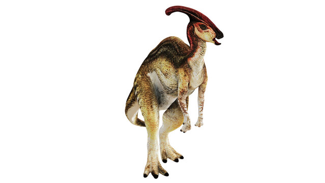 Realistic Parasaurolophus dinosaur model on a white background.