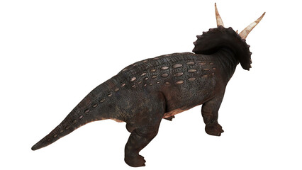 Detailed 3D rendering of a horned dinosaur. © Ilie
