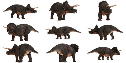 Triceratops dinosaurs in various poses © Ilie