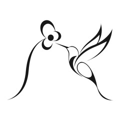 Black and white hummingbird drinking from flower, illustration © JannaturNur