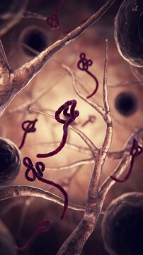 Lethal ebola pathogen: microscopic organism, viral replicate, deadly infection, global health, human crisis, urgent research, cell invade, prevent spread, disease control, medicine development.