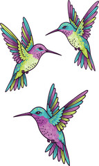 Fototapeta premium Beautiful colorful hummingbird vector illustration set, flying colibri birds sketch collection for tropical tattoo design