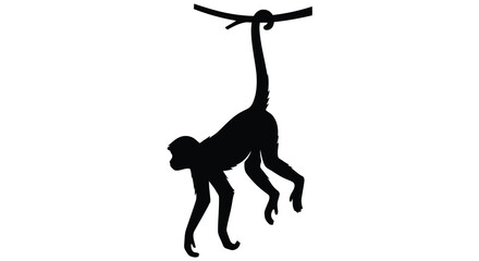 Gibbon monkey hanging from branch black silhouette on a white background primate ape animal wildlife © Mama