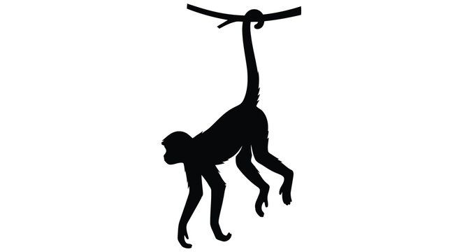 Gibbon monkey hanging from branch black silhouette on a white background primate ape animal wildlife