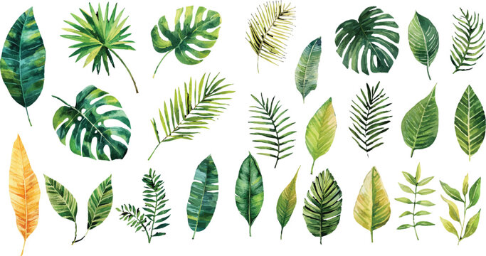 collection of green leaves