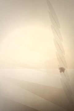 Soft light rays on a beige ceiling