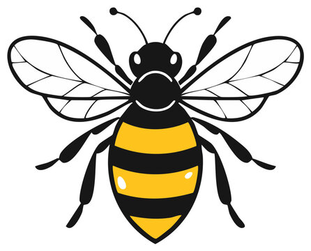 Stylized illustration of a buzzing bee with black and yellow stripes and transparent wings isolated on a white background