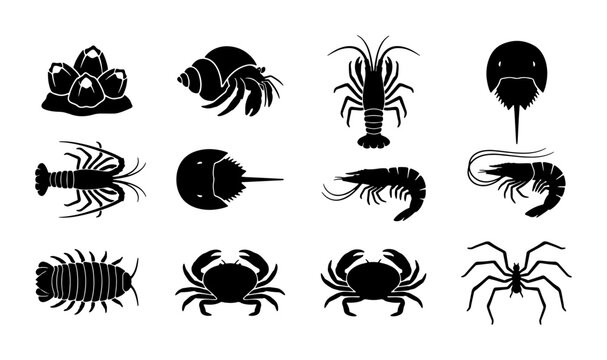 Marine Life Icons Set: Crustaceans, Shellfish, and Aquatic Creatures Vector Collection for Oceanography and Seafood Concepts