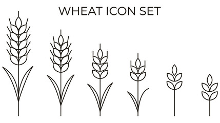 Wheat ears icons in different sizes and colors vector illustration. © SABIKUNNAHAR
