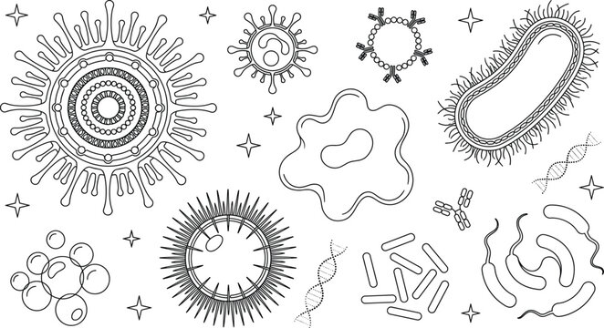 Microscopic virus and bacteria pathogen cells outline icon set with amoeba dna and micro organisms