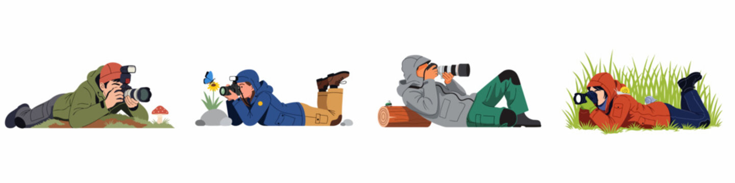Set of four nature photographers in outdoor gear lying on the ground to capture close-up shots of wildlife and small plants.