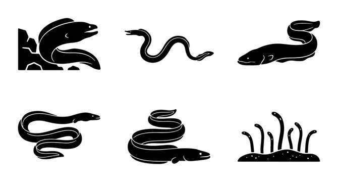 Set of Six Black Eel Vector Icons, Marine Life and Aquatic Creatures Collection, Simple Silhouette Graphics for Oceanography and Seafood Concepts