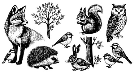 Woodland forest animal collection black and white ink sketch illustrations © Kapilbiswas
