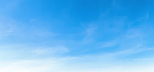 Clear blue sky with wispy clouds drifts gently above © lovelyday12
