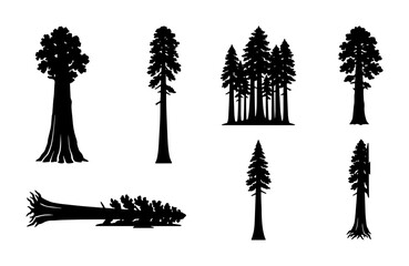 Sequoia Tree Silhouettes Vector Set, Tall Redwood Forest Icons, Giant Evergreen Nature Graphics, Woodland Elements for Design © Lubna
